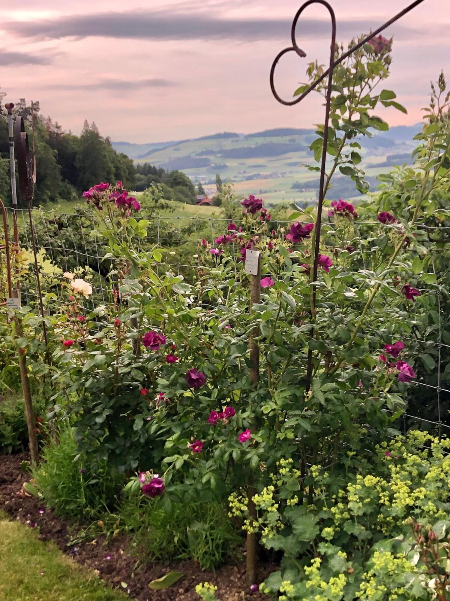 Appartamento Rosenhuesli Gerzensee Esterno foto