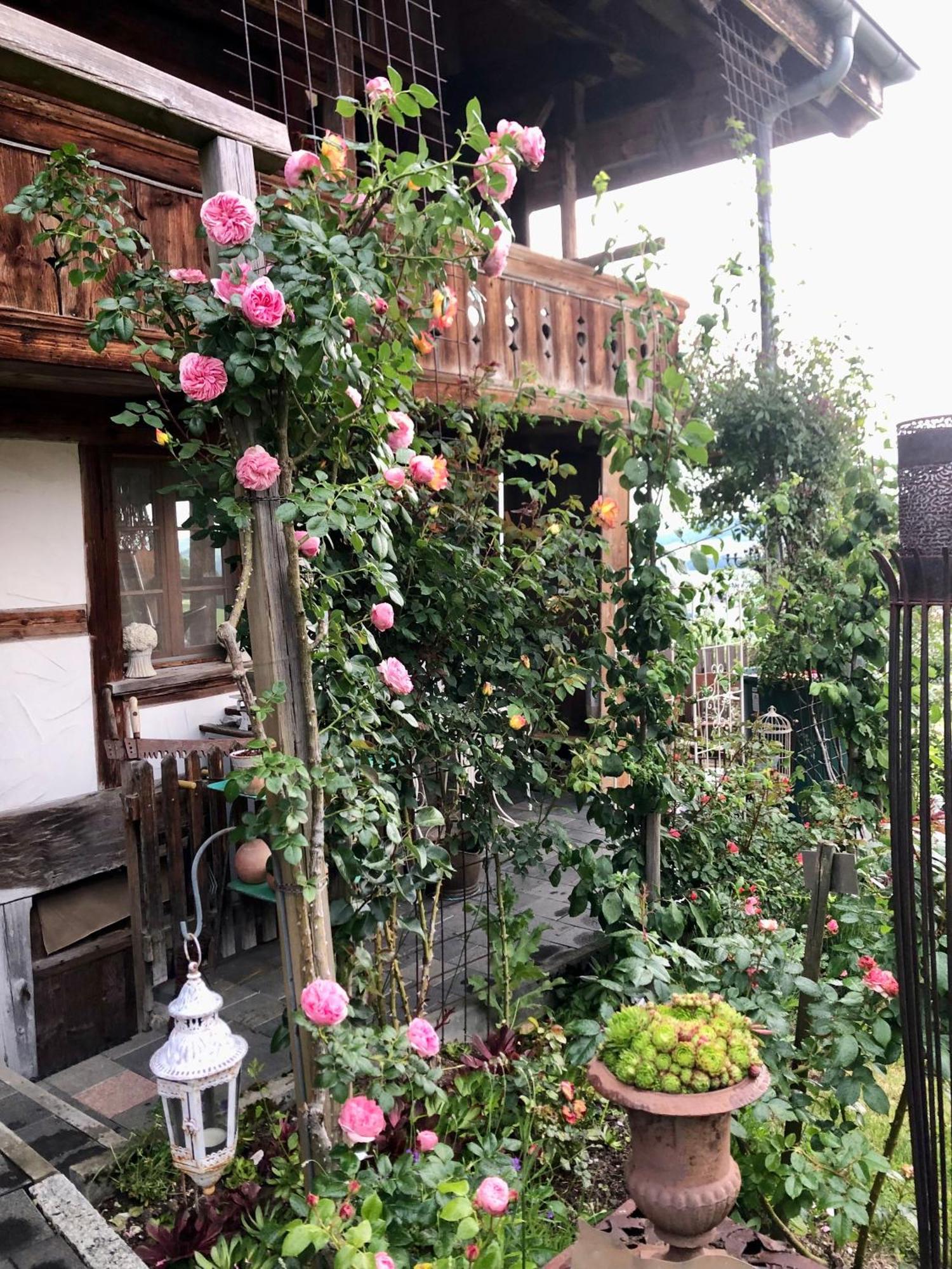 Appartamento Rosenhuesli Gerzensee Esterno foto