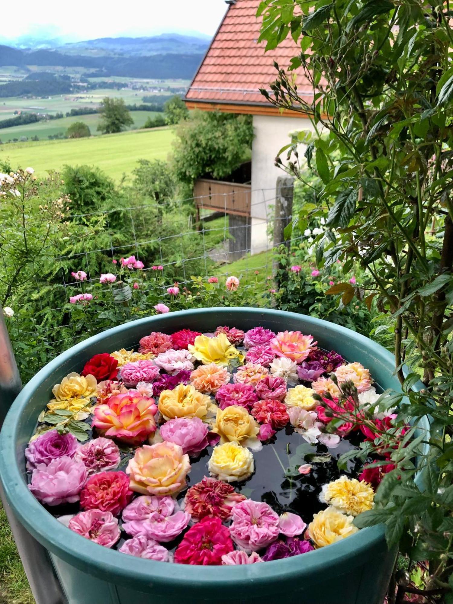 Appartamento Rosenhuesli Gerzensee Esterno foto